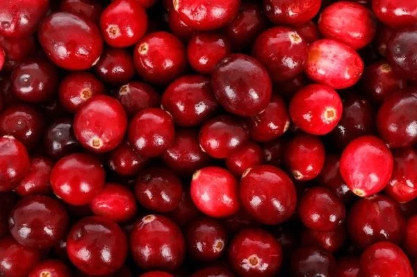 کرنبری و خواص شگفت انگیز