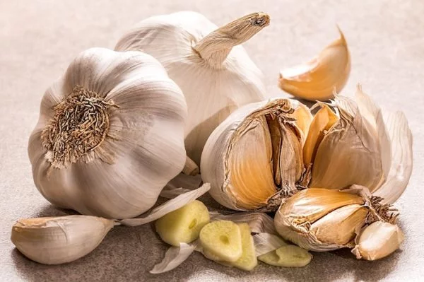 سیر آنتی بیوتیک طبیعی